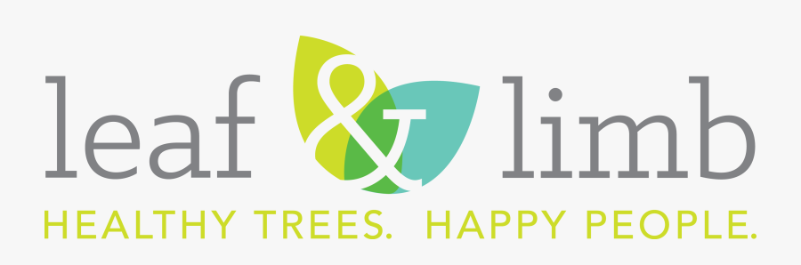 Graphic Design, Transparent Clipart