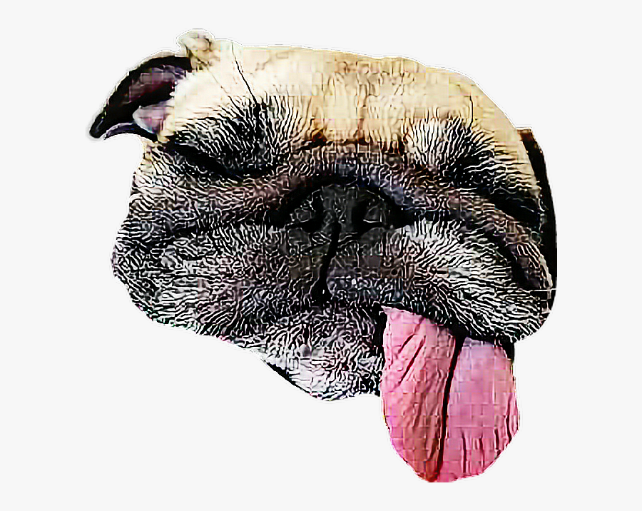 #sleeping Dog - Turkey - Sleepy Dog Png Transparent, Transparent Clipart