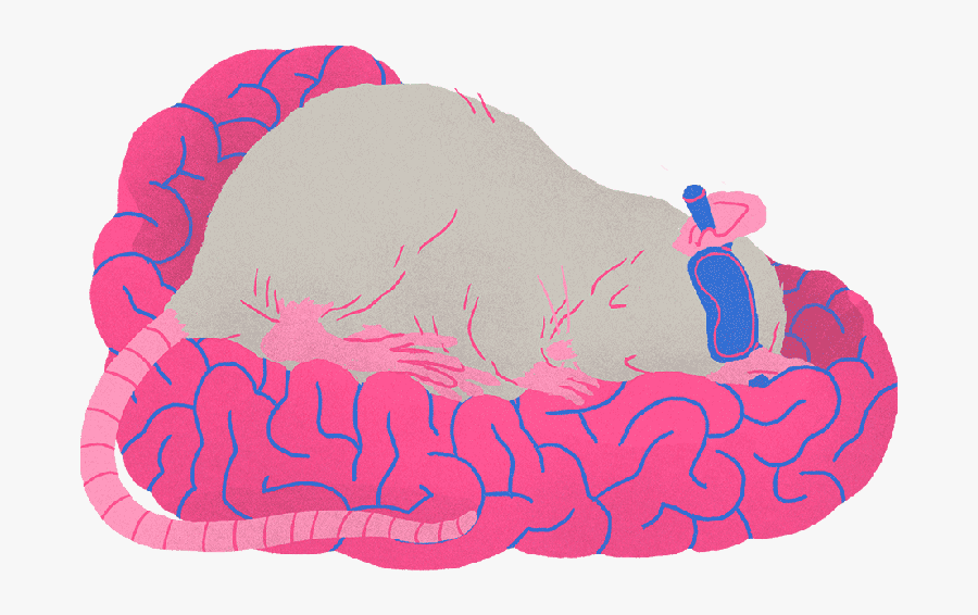 #tuesdaytopfive Tips For A Better Night"s Sleep, Transparent Clipart