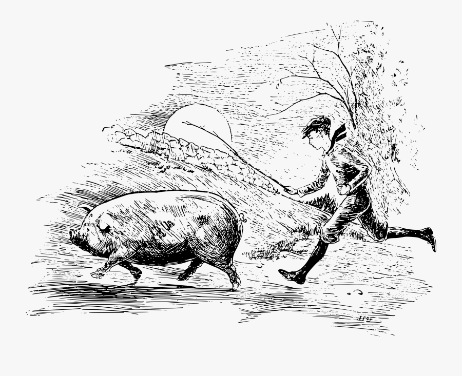 A Boy Running Behind A Pig With A Stick Clip Arts - Running Pig Drawing, Transparent Clipart
