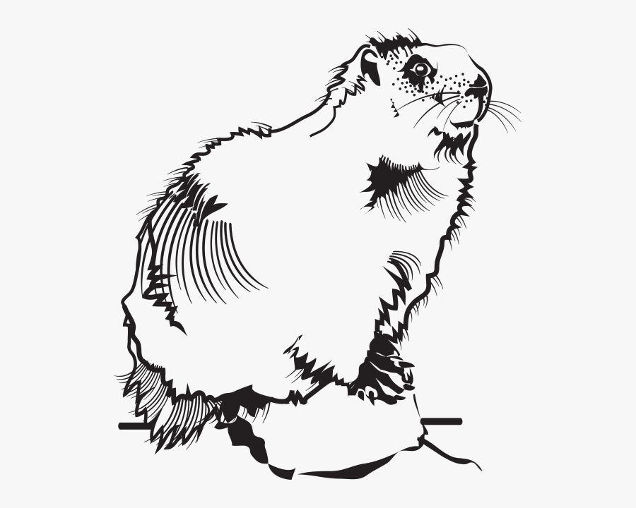 Illustration, Transparent Clipart