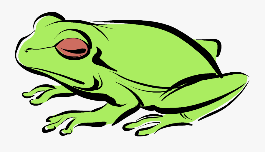 Biology Sticker Png, Transparent Clipart