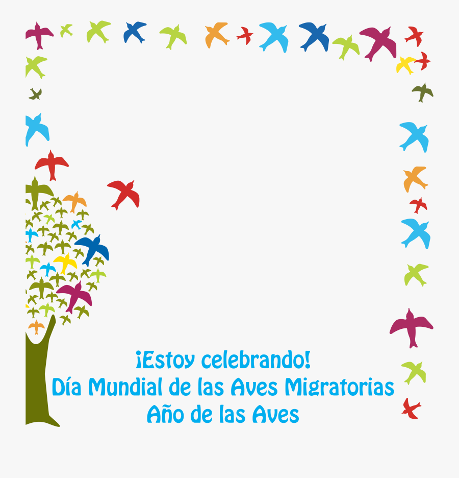 International Migratory Bird Day, Transparent Clipart