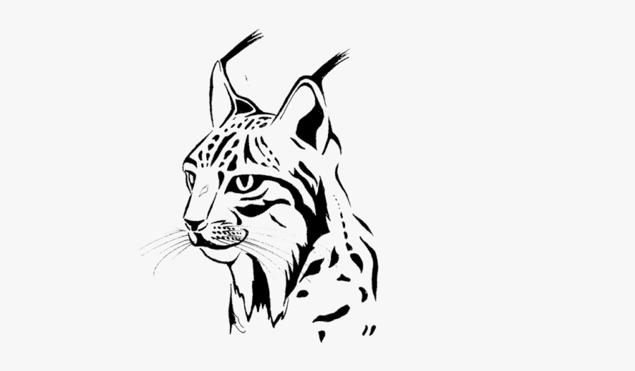Iberian Lynx Draw Png, Transparent Clipart