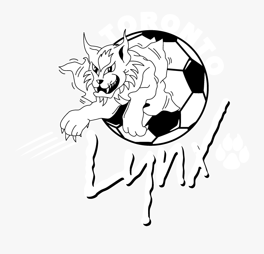 Lynx Vector Black And White - Toronto Lynx, Transparent Clipart