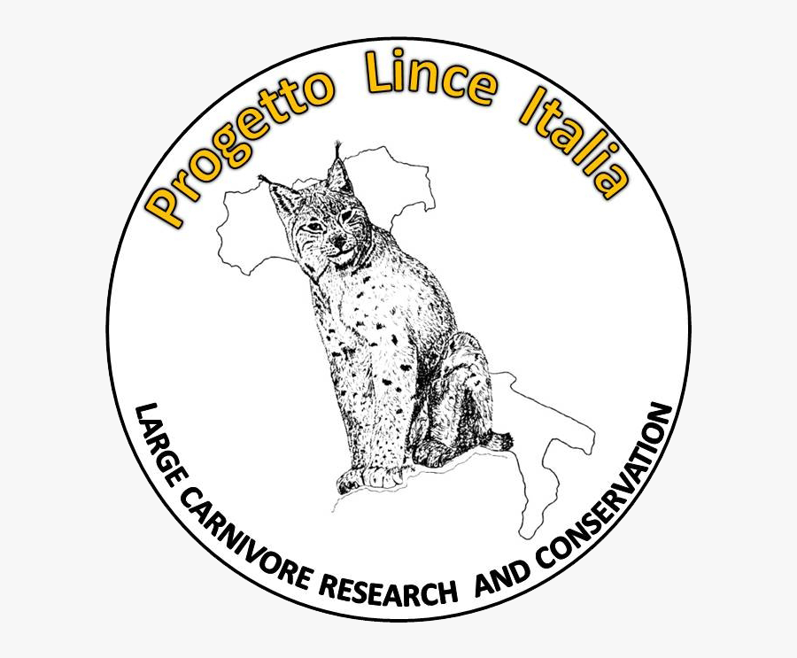 The Progetto Lince Italia - Cartoon, Transparent Clipart
