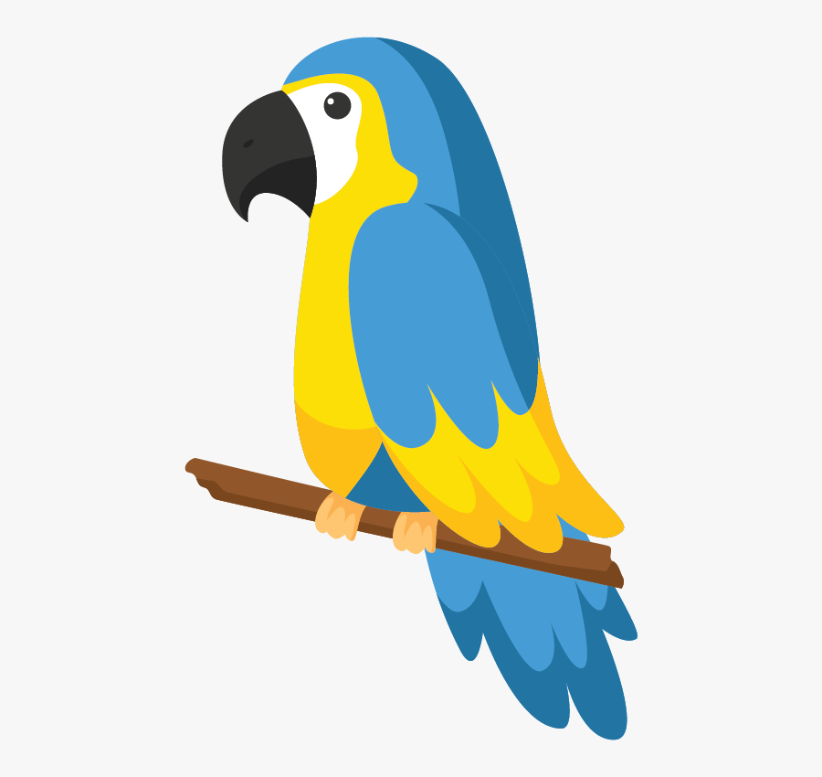 Parrot, Transparent Clipart
