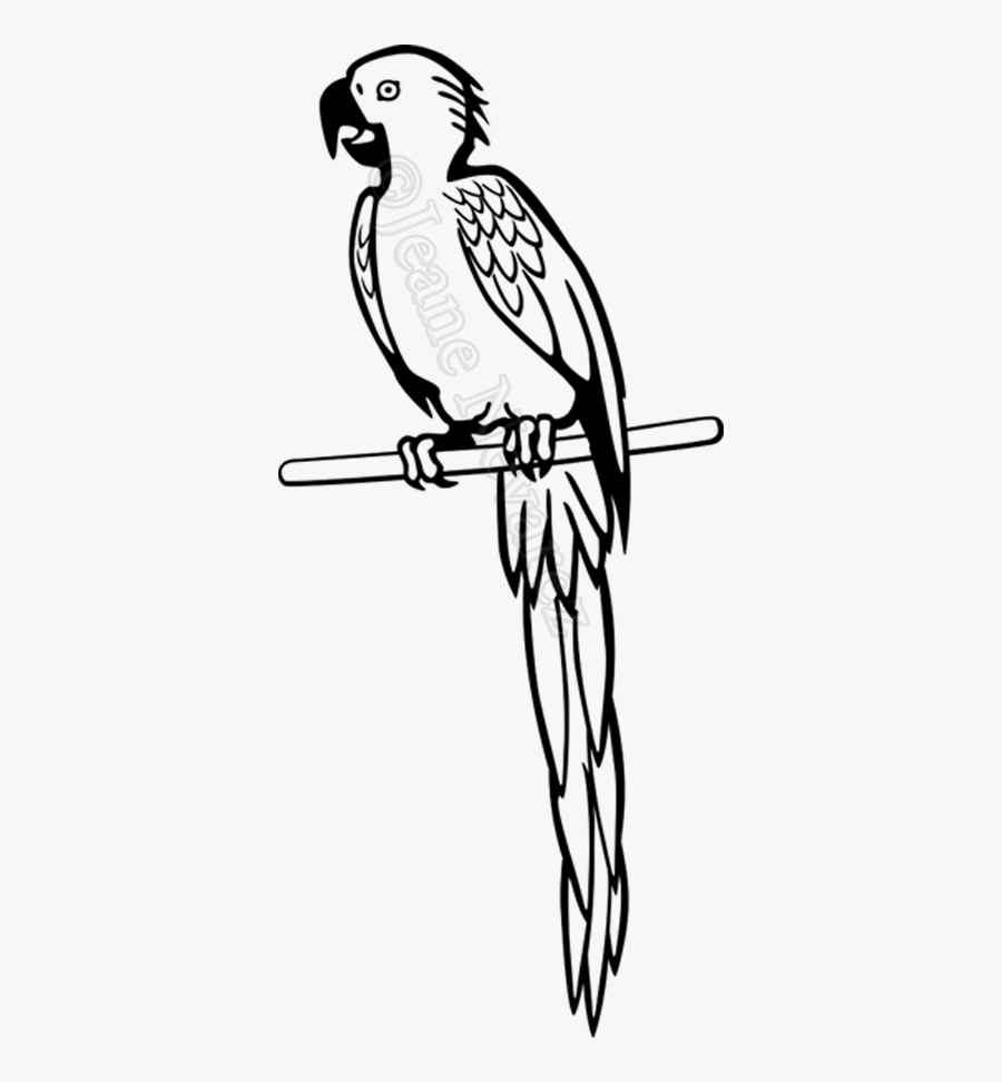 Budgie Drawing Baby, Transparent Clipart