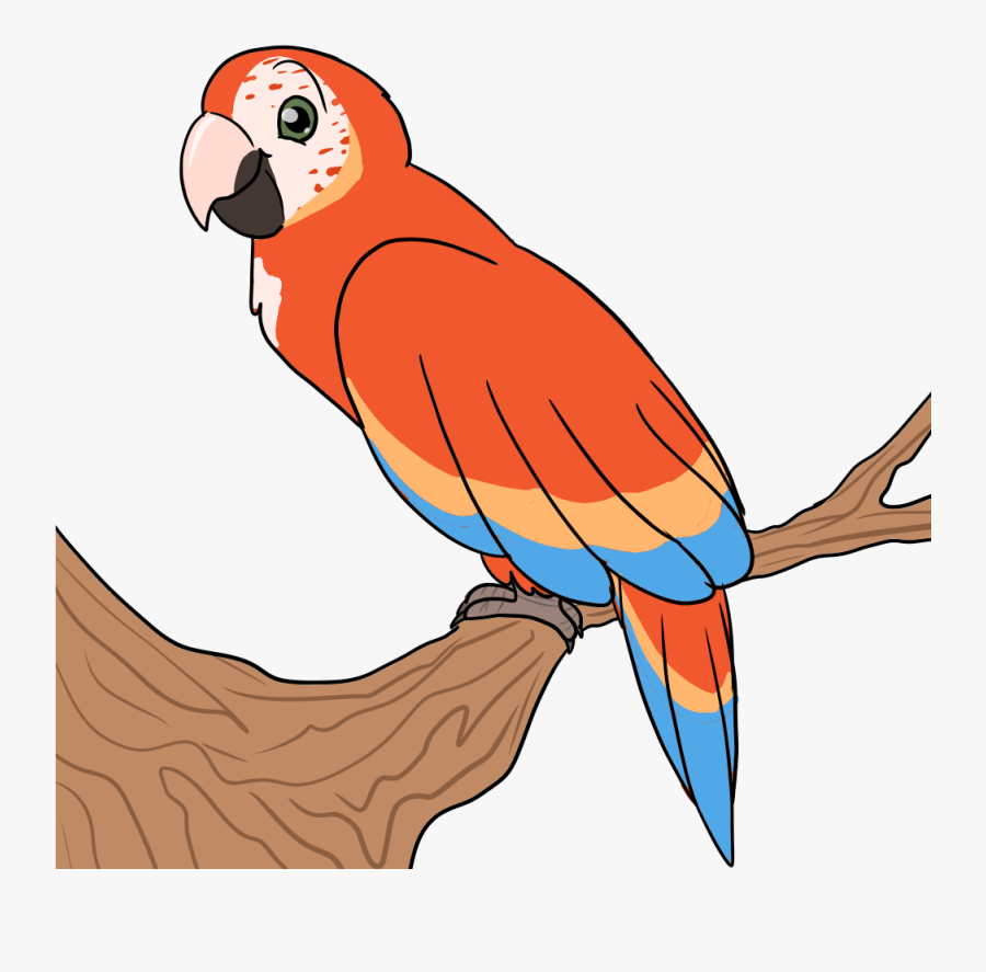 I’ve Had A Couple Anons Bring Up The Idea Of Bird Warriors - Macaw, Transparent Clipart