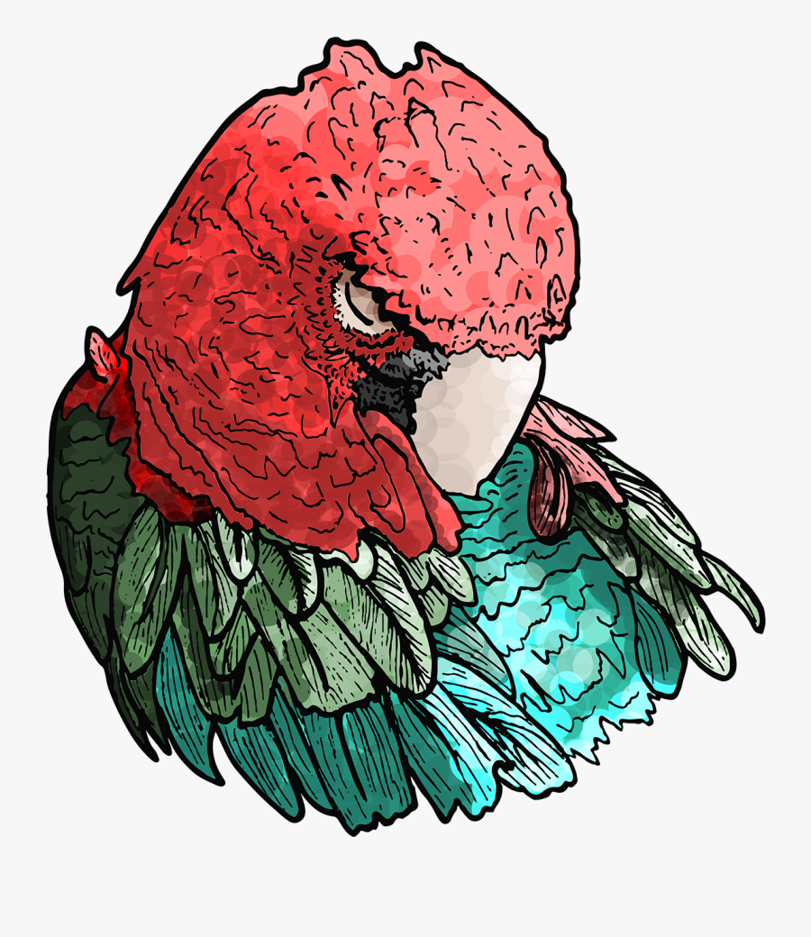 Illustration, Transparent Clipart