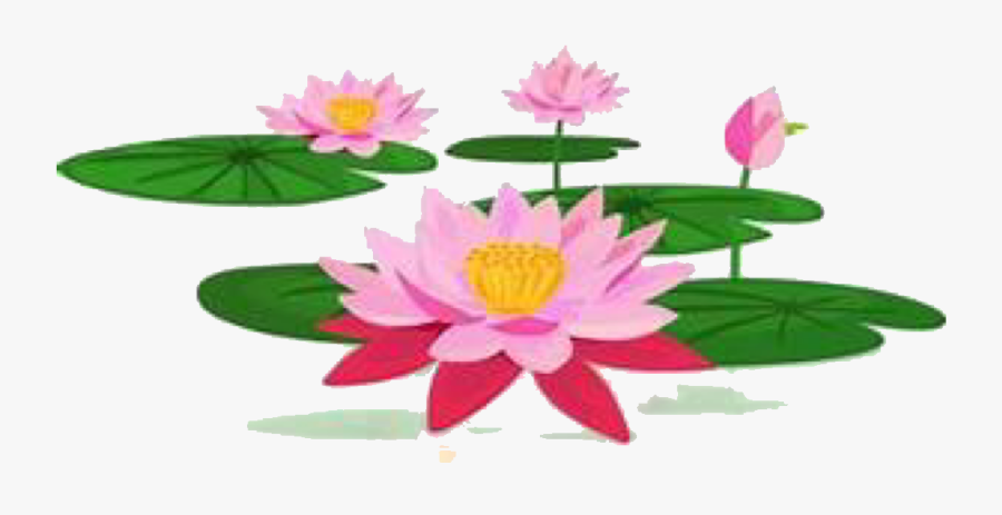 #waterlily #freetoedit - เวก เตอร์ สระ บัว, Transparent Clipart
