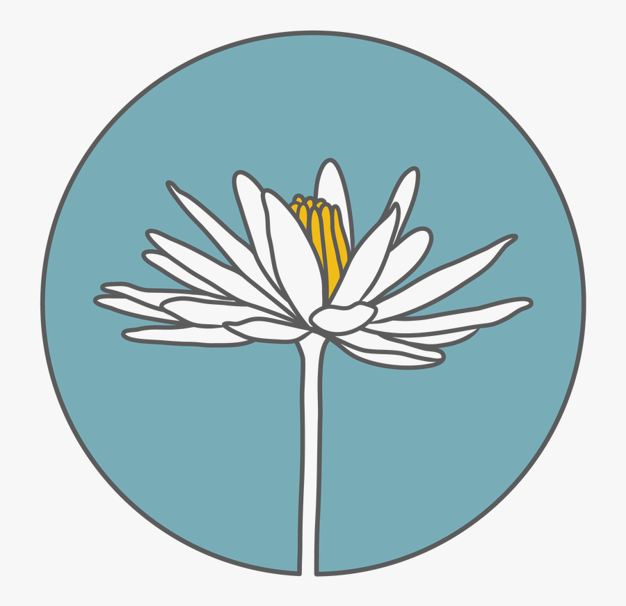 Water Lily, Transparent Clipart