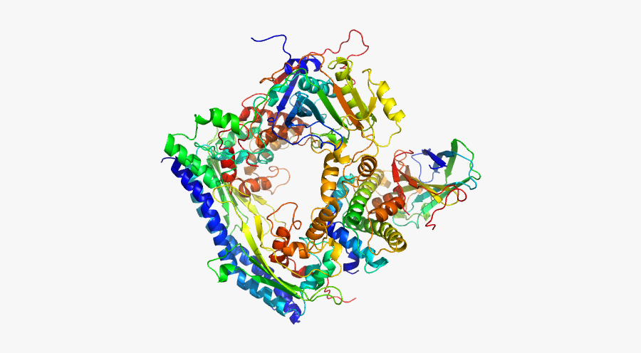 Vacuolar Protein Sorting Associated Protein 75 Histone - Illustration, Transparent Clipart