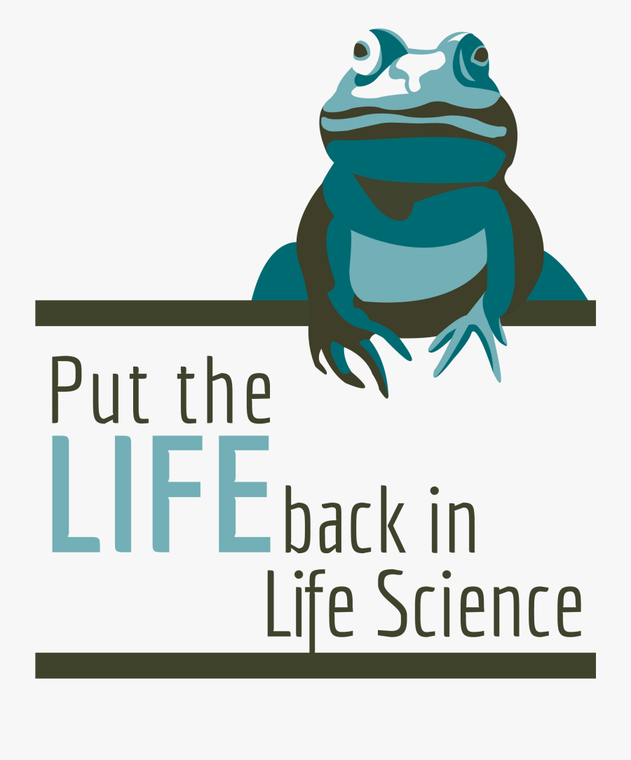 Bufo, Transparent Clipart