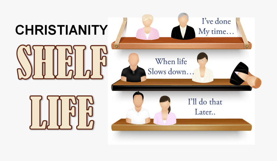 Shelf Life - Carol Christian Poell, Transparent Clipart