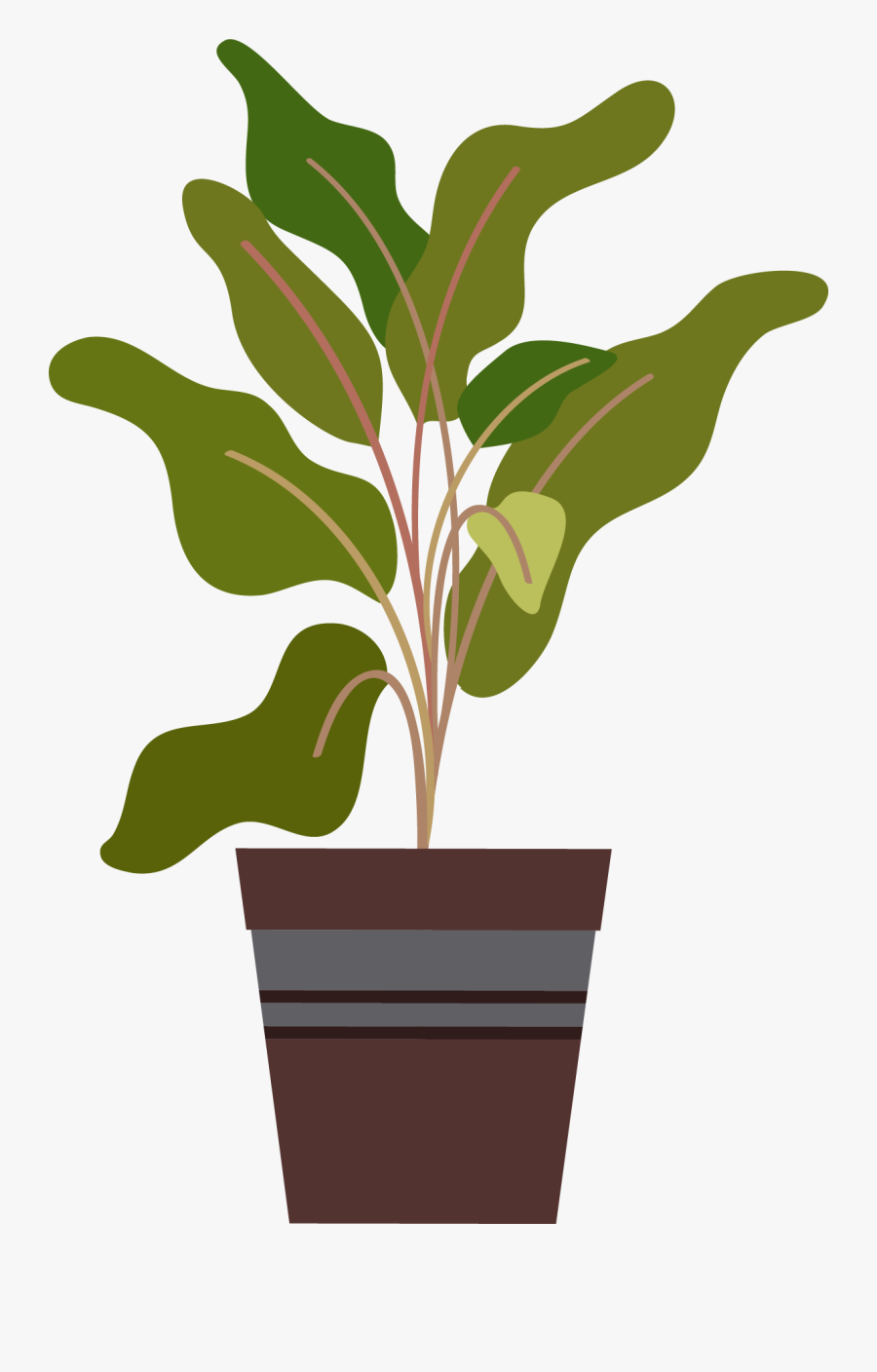 Houseplant, Transparent Clipart