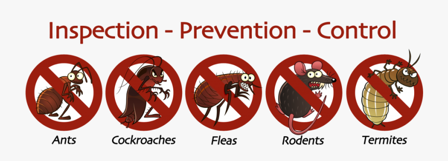 Https - //www - Google - Co - In/searchq=pest Control - Termite Pest Control Png, Transparent Clipart