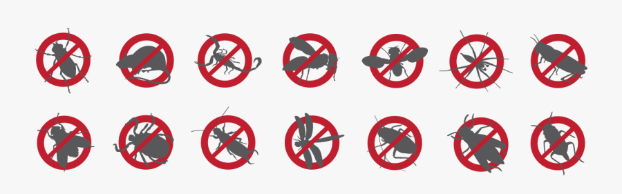 Pest Control Transparent , Transparent Cartoons - Pest Control Transparent, Transparent Clipart