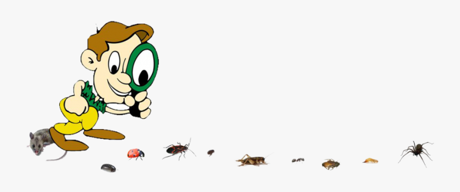 Pest Control Termite Prevention Pest Control Services, Transparent Clipart
