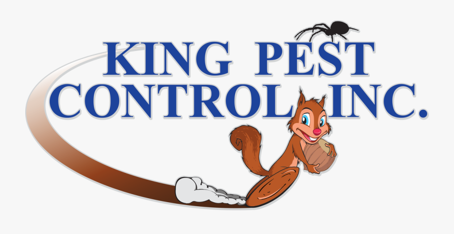 Picture - Cartoon, Transparent Clipart