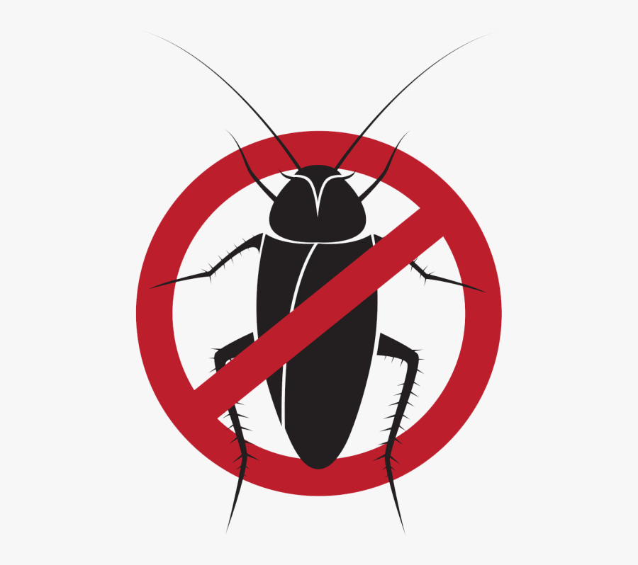 Cockroach Control In Waterloo, Ia - Stop Cucarachas, Transparent Clipart