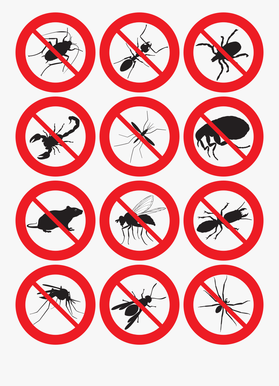 Pest Control Icon Free, Transparent Clipart