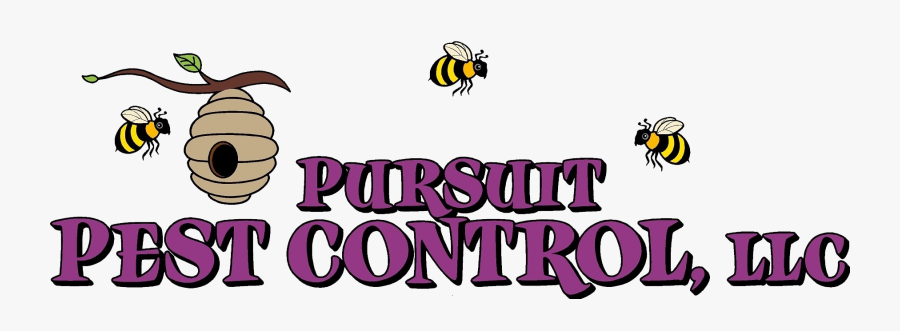 Pursuit Pest Control - Honeybee, Transparent Clipart