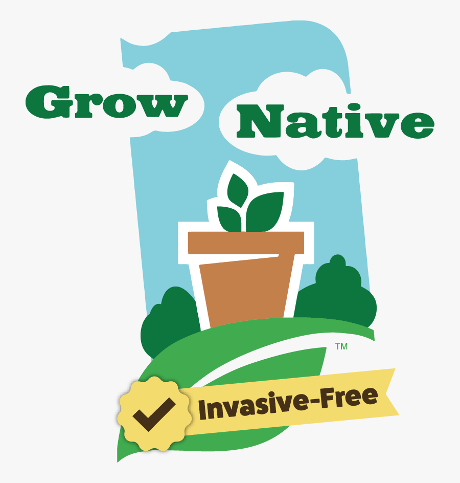 Where To Find Native - Plants, Transparent Clipart