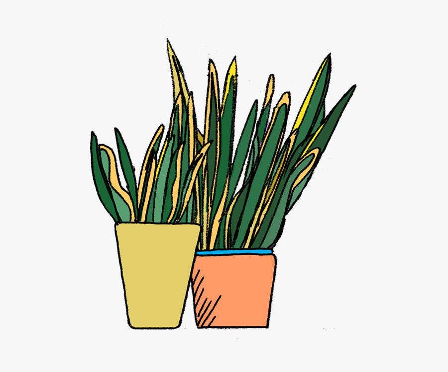 Clip Art, Transparent Clipart