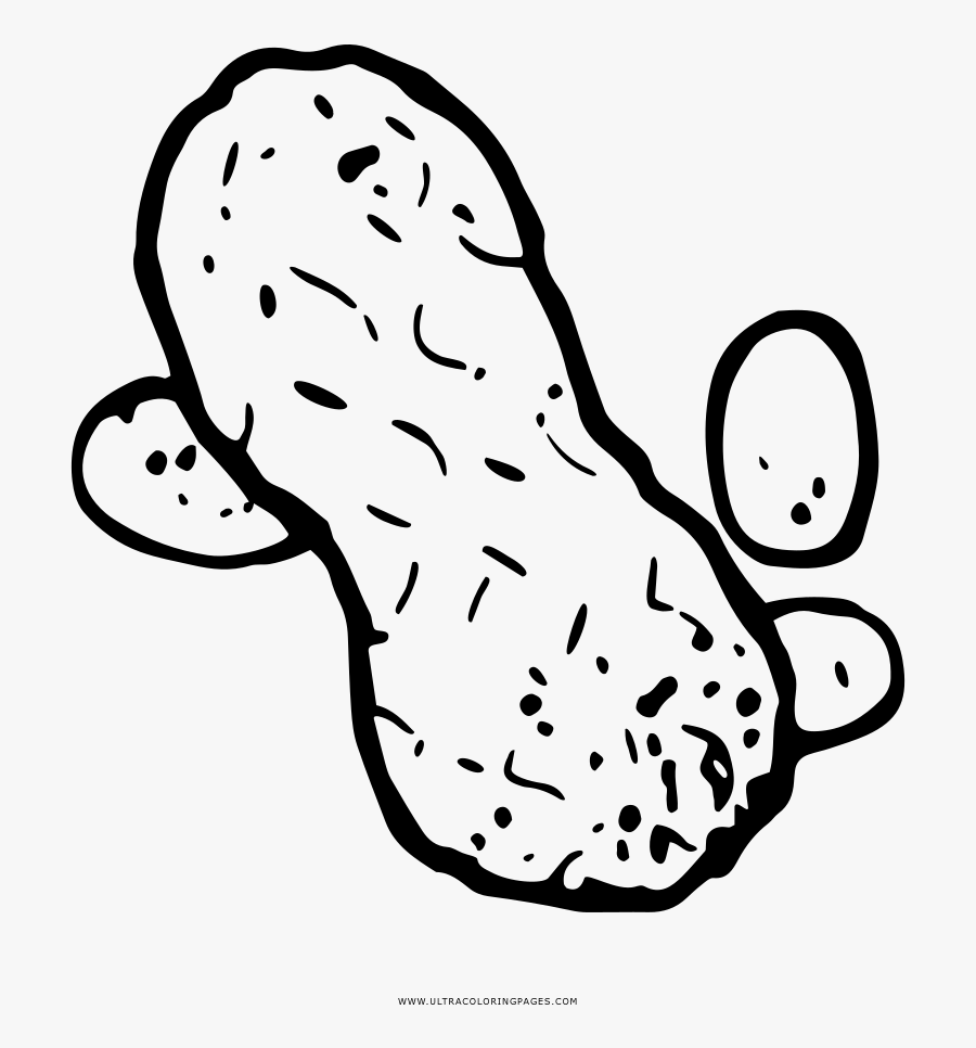 Peanut Coloring Page, free clipart download, png, clipart , clip art, trans...