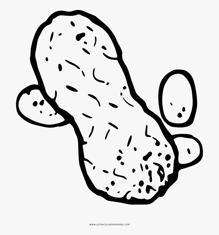 Peanut Coloring Page, Transparent Clipart