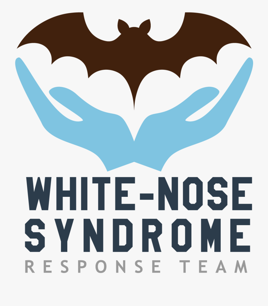 White Nose Syndrome Response Team, Transparent Clipart