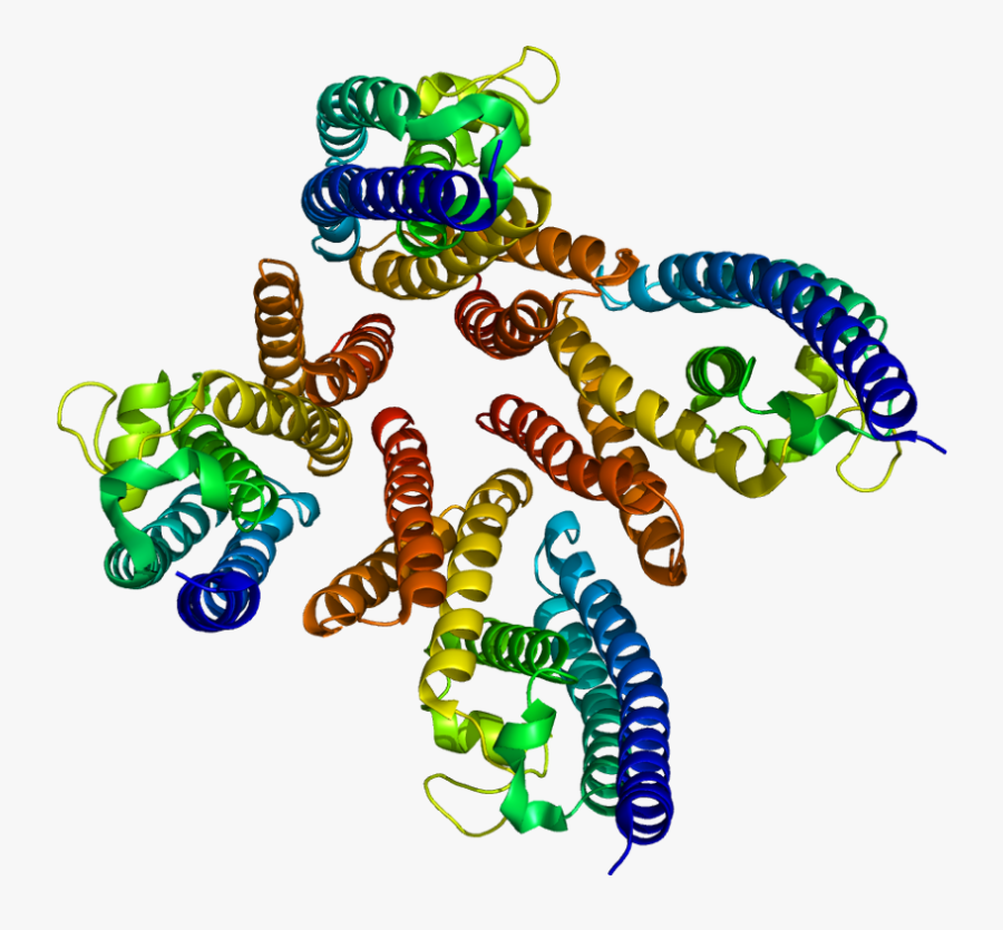 Protein Tsn Pdb 1j1j - Translin Associated Protein Factor X, Transparent Clipart