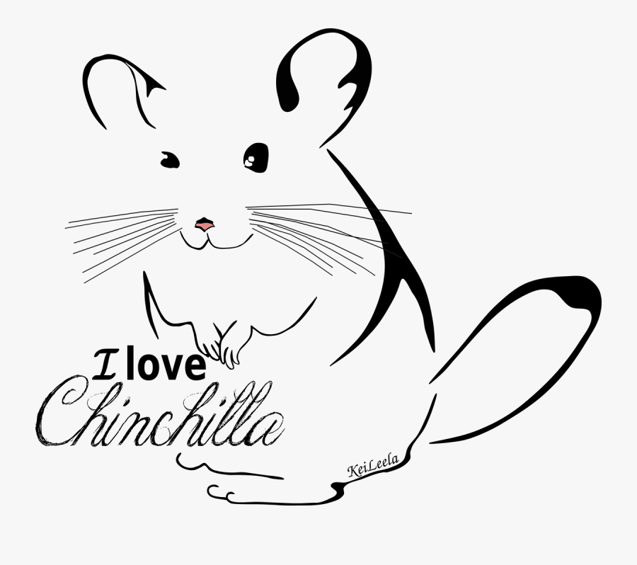 Chinchilla Vector Png, Transparent Clipart
