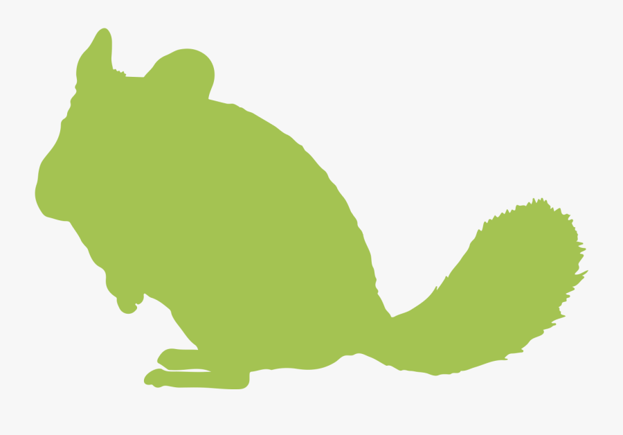 Chinchillas » - Illustration, Transparent Clipart