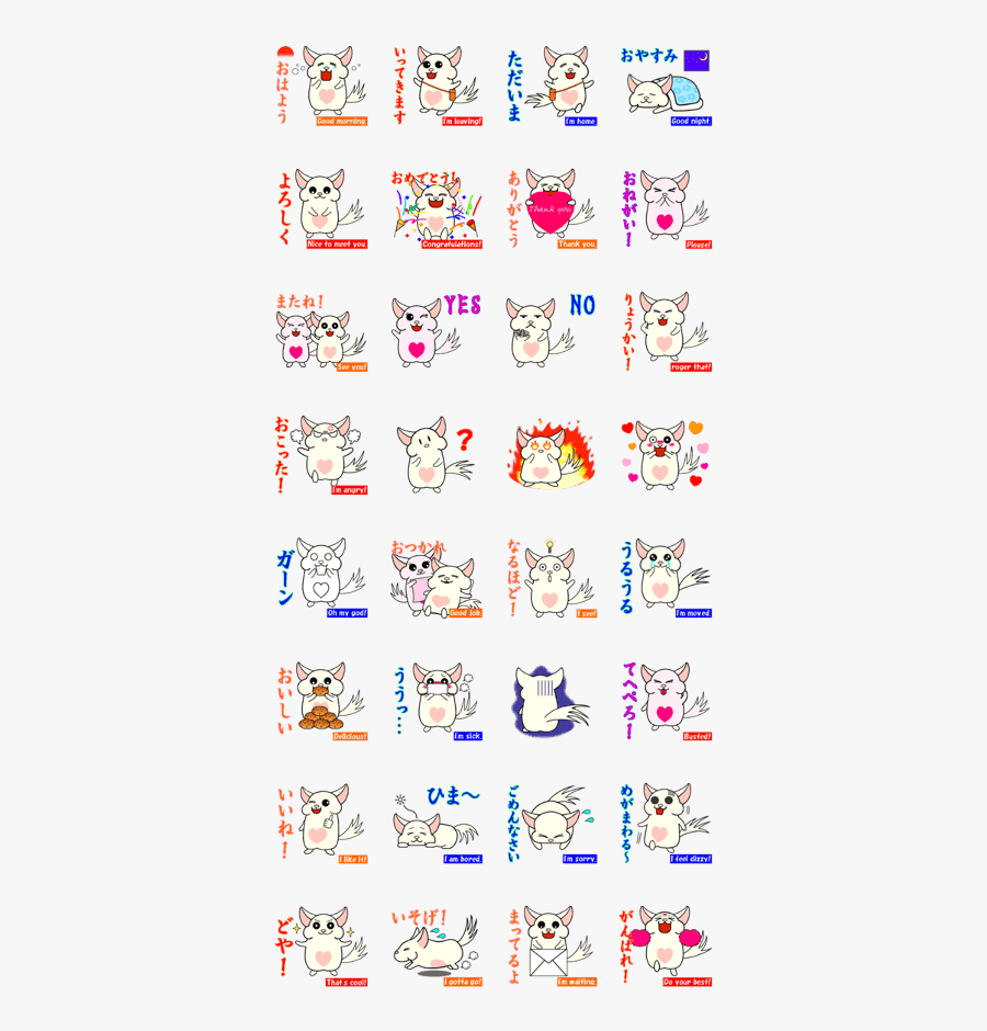 Chinchilla Of Chitchi In English, Transparent Clipart