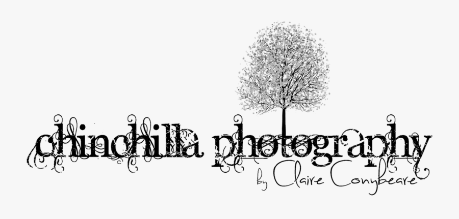 Picture - Tree, Transparent Clipart