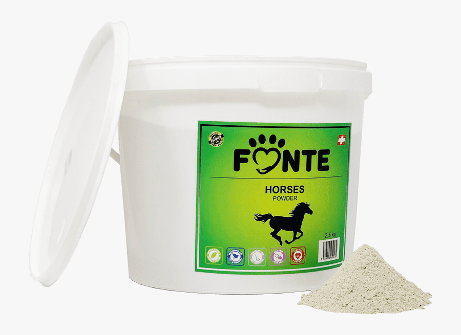 Rat, Transparent Clipart