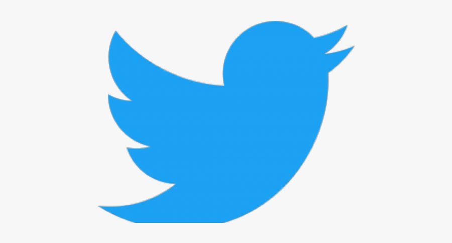 Twitter Logo - Transparent Background Twitter Logo, Transparent Clipart