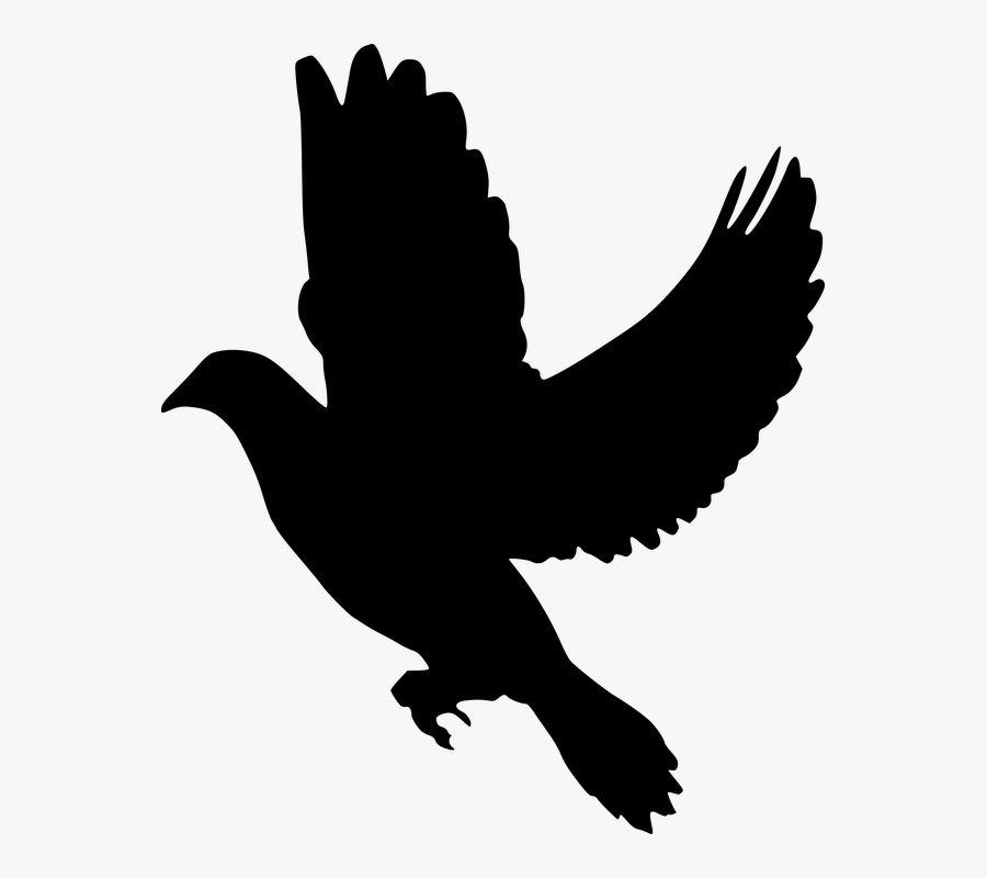 Silhouette, Peace, Dove, Flying, Olive, Branch, Symbol - Black Dove Clipart, Transparent Clipart