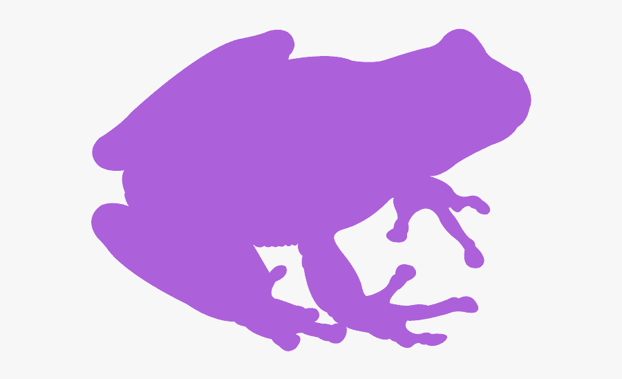 Orange Frog Silhouette, Transparent Clipart
