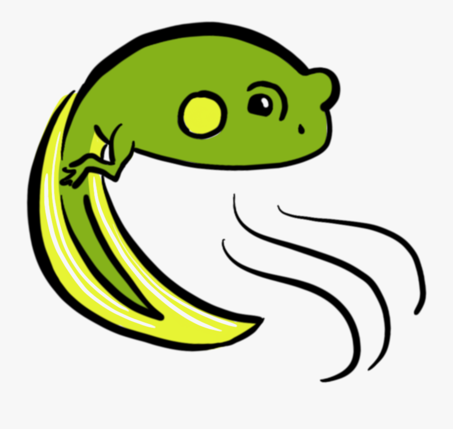 Flying Fish Color Tadpole, Transparent Clipart