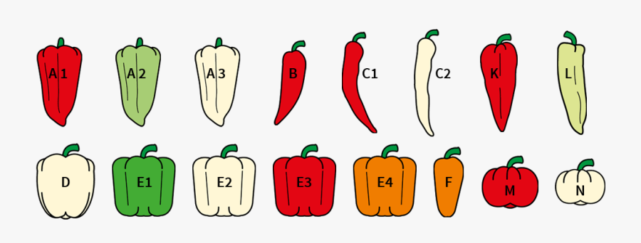 Profi, Vegetable Semo, Transparent Clipart