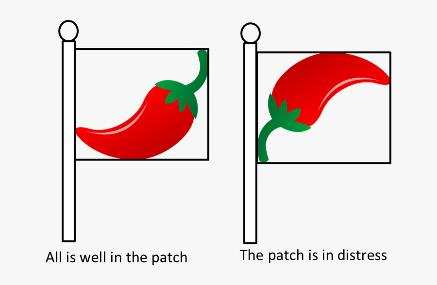 Rick"s Pepper Patch Flag, Transparent Clipart
