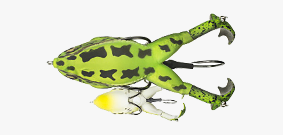 Lunkerhunt Prop Frog In Toad, Transparent Clipart