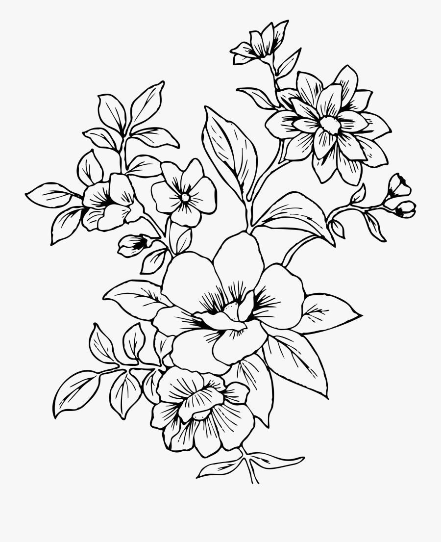 Line Art Clipart Floral Transparent Flower Drawing Png