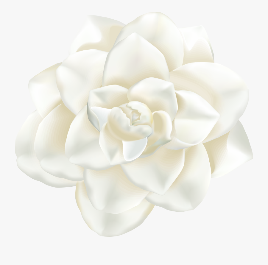 White Flower Clipart Png, Transparent Clipart