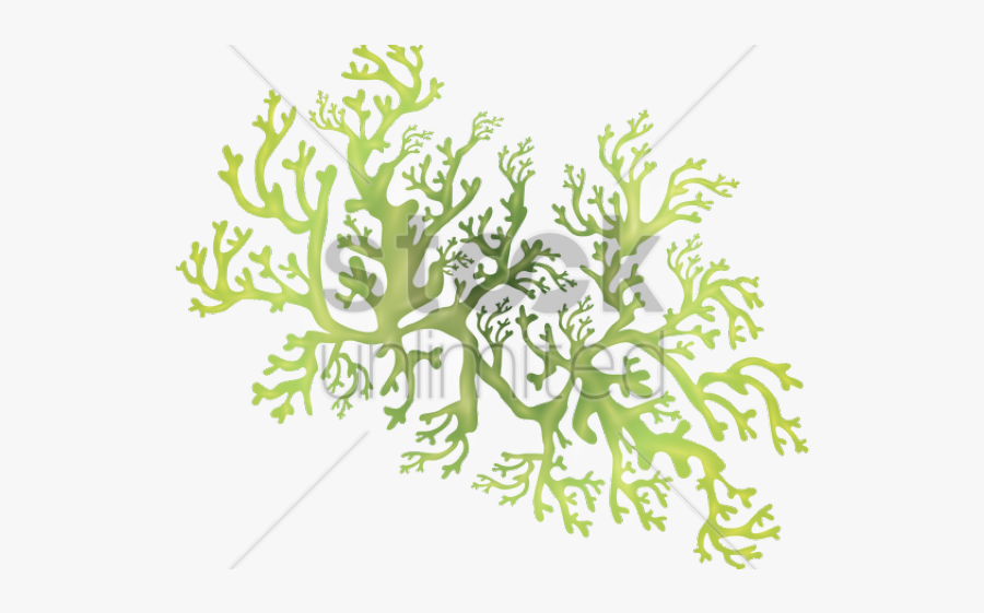 Underwater Clipart Underwate Grass - Illustration, Transparent Clipart