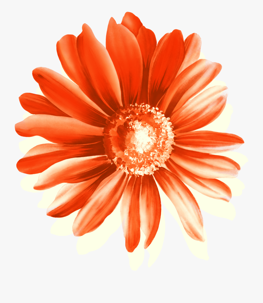 Clipart Free Download Cottage Garden Flowers Red - 图片, Transparent Clipart