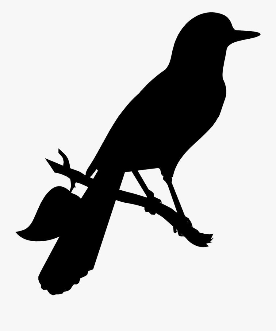 American Crow Clip Art Advertising Fauna Silhouette - Raven, Transparent Clipart